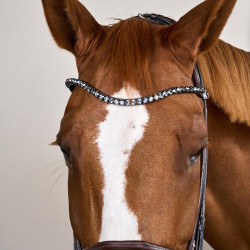 Briglia con capezzina larga in morbida pelle Dy’on Marrone