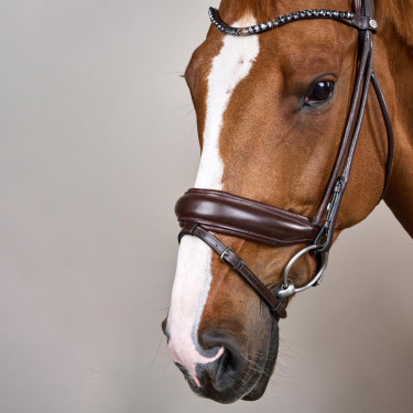 Briglia con capezzina larga in morbida pelle Dy’on Marrone