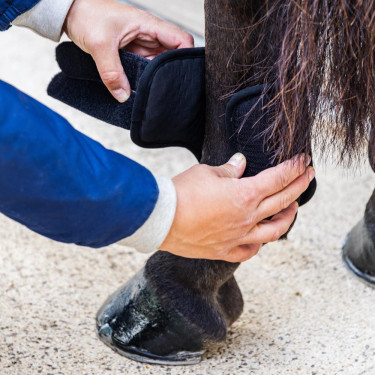 Paraglomi da cross corti Kentucky 3D Air Flow posteriori Nero Paraglomi da cross corti Kentucky 3D Air Flow posteriori Nero