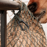 Moschettone in alluminio Safety Grooming Deluxe di Kentucky Nero