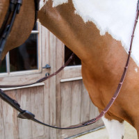 Redini in gomma Dy'on 1/2 con 7 fermagli integrati Marrone