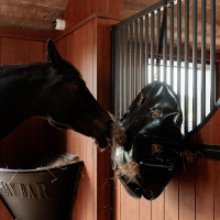 Sacca per fieno Play & Slowfeeder rotonda Grooming Deluxe by Kentucky Nero Sacca per fieno Play & Slowfeeder rotonda Grooming Deluxe by Kentucky Nero