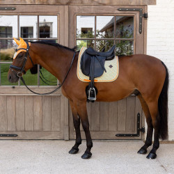 Sottosella Kentucky Velvet Dressage Printing Colorato Sottosella Kentucky Velvet Dressage Printing Colorato