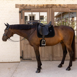 Sottosella Kentucky velvet mini Pearls Dressage Nero Sottosella Kentucky velvet mini Pearls Dressage Nero