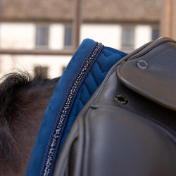 Sottosella Kentucky velvet mini Pearls Dressage Marina Blu marino