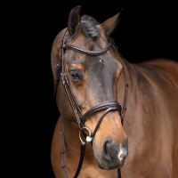 Briglia HV Polo Legacy Marrone cioccolato Briglia HV Polo Legacy Marrone cioccolato