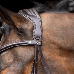 Briglia HV Polo Legacy Marrone cioccolato Briglia HV Polo Legacy Marrone cioccolato