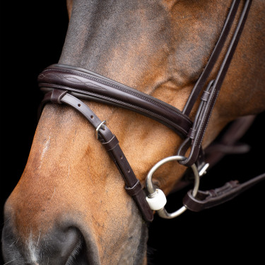Briglia HV Polo Legacy Marrone cioccolato Briglia HV Polo Legacy Marrone cioccolato