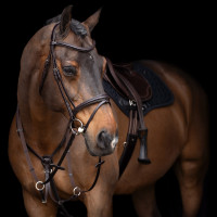 Martingala HV Polo Legacy Marrone cioccolato