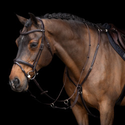 Martingala HV Polo Legacy Marrone cioccolato