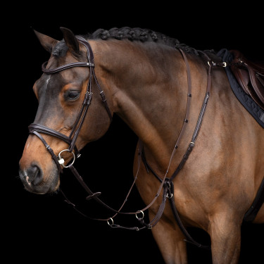 Martingala HV Polo Legacy Marrone cioccolato
