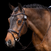 Numero di testiera HV Polo Legacy Marrone