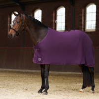 Coperta in pile Imperial Riding Fundamental Basic Fico Viola