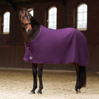 Coperta in pile Imperial Riding Fundamental Basic Fico Viola