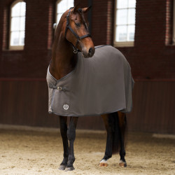 Coperta in pile Imperial Riding Fundamental Basic Grigio