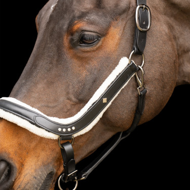 Capezzina Imperial Riding Luxury Nero Capezzina Imperial Riding Luxury Nero