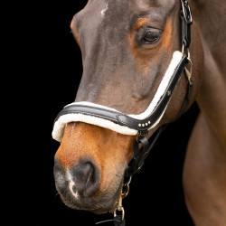 Capezzina Imperial Riding Luxury Nero Capezzina Imperial Riding Luxury Nero