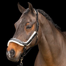 Capezzina Imperial Riding Luxury Nero Capezzina Imperial Riding Luxury Nero