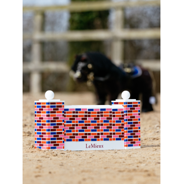 Ostacolo potenza Toy Pony LeMieux Multi Multicolore Ostacolo potenza Toy Pony LeMieux Multi Multicolore