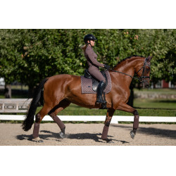 Fasce da polo Equestrian Stockholm Amaranto Fasce da polo Equestrian Stockholm Amaranto