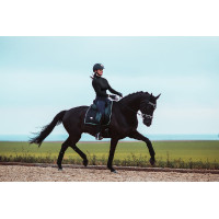 Fasce da polo Equestrian Stockholm Tutto nero scintillante