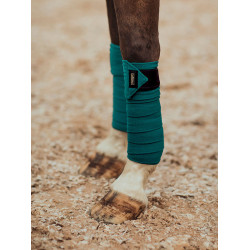 Fasce da polo Equestrian Stockholm Smeraldo Verde