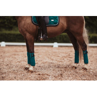 Fasce da polo Equestrian Stockholm Tutto nero scintillante