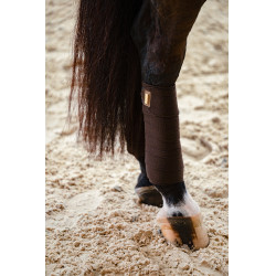 Fasce da polo Equestrian Stockholm Marrone dorato