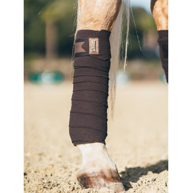 Fasce da polo Equestrian Stockholm Marrone dorato