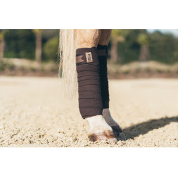 Fasce da polo Equestrian Stockholm Marrone dorato