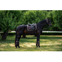 Fasce da polo Equestrian Stockholm Marrone dorato