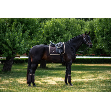 Fasce da polo Equestrian Stockholm Marrone dorato