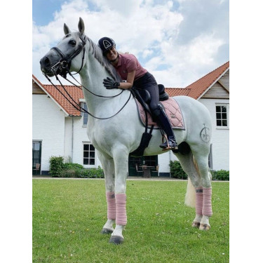 Fasce da polo Equestrian Stockholm Rosa