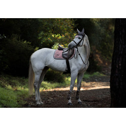Cuffia anti-mosche Equestrian Stockholm Rosa polverosa
