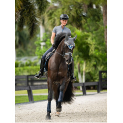 Cuffia anti-mosche Equestrian Stockholm Blu metallizzato Cuffia anti-mosche Equestrian Stockholm Blu metallizzato