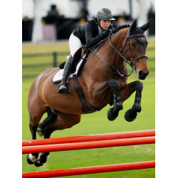 Cuffia antimosche Equestrian Stockholm anti-rumore Oceano scuro Blu marino