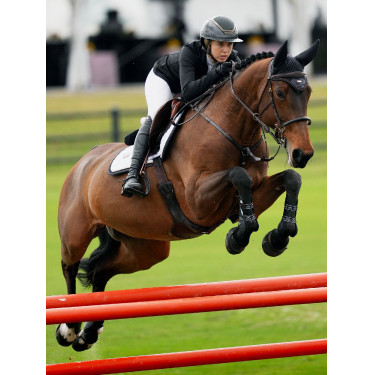 Cuffia antimosche Equestrian Stockholm anti-rumore Oceano scuro Blu marino