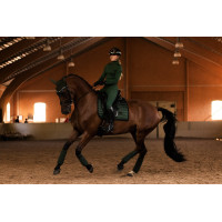 Cuffia antimosche Equestrian Stockholm Performance Nero