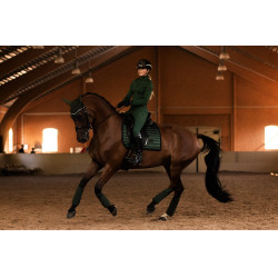 Cuffia antimosche Equestrian Stockholm Performance Verde sicomoro