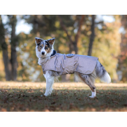 Coperta per cane Equestrian Stockholm Reflective Nero lucido Coperta per cane Equestrian Stockholm Reflective Nero lucido