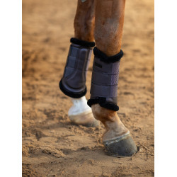 Ghette da dressage Equestrian Stockholm Viola scuro Ghette da dressage Equestrian Stockholm Viola scuro