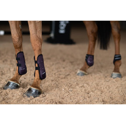 Paragambe Equestrian Stockholm anatomiche Nero corvino