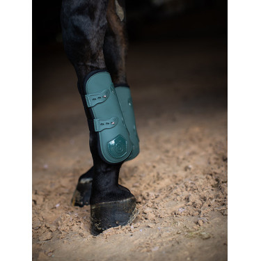 Paragambe Equestrian Stockholm anatomiche Verde sicomoro
