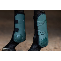 Paragambe Equestrian Stockholm anatomiche Verde sicomoro