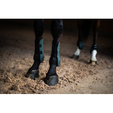 Paragambe Equestrian Stockholm anatomiche Verde sicomoro