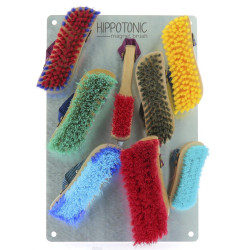 Piastra Hippo-Tonic Magnet Brush Piastra Hippo-Tonic Magnet Brush