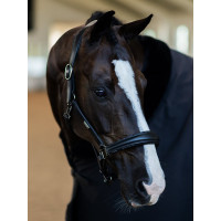 Capezza in pelle Equestrian Stockholm anatomica scintillante Full marrone