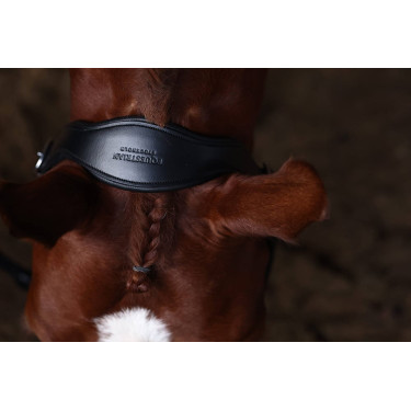 Capezza in pelle Equestrian Stockholm anatomica scintillante Prateria blu