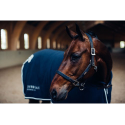 Capezza e longhina in cuoio Equestrian Stockholm con catena Marina Blu marino