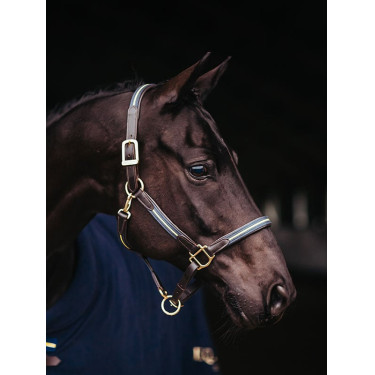 Capezza e longhina in cuoio Equestrian Stockholm con catena Nazione svedese